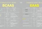 diffrent between bcaa and eaa . a brief comparison
